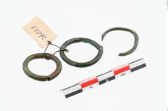 Foto von Bronzering (NHMW-PRAE-026053)